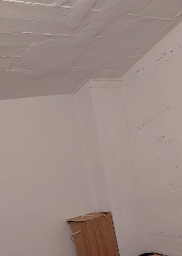 TRASTERO EN EL EDIFICIO ORELLANA - 3