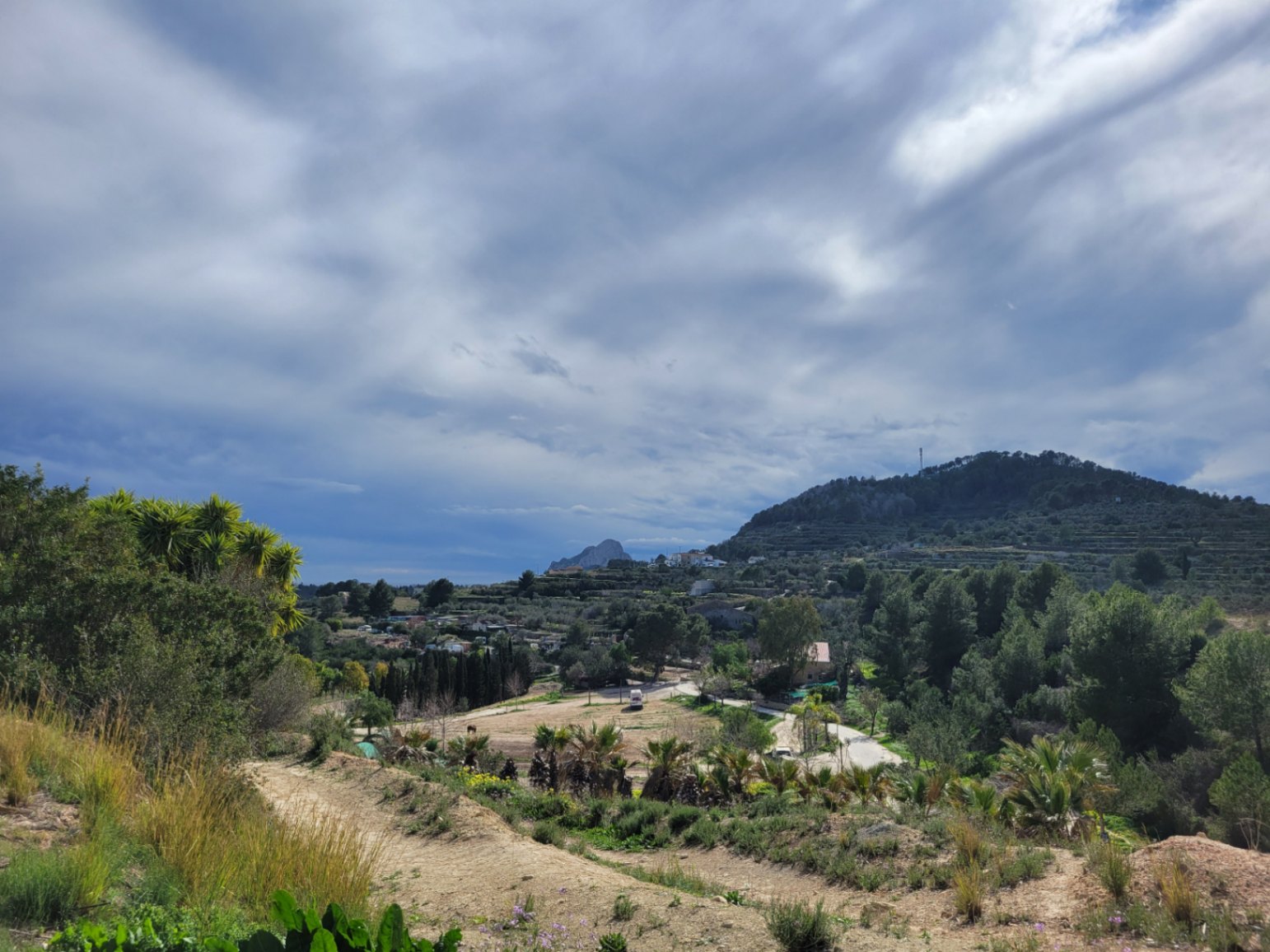 Parcela  rustica en venta de 10,000 m²  - 4