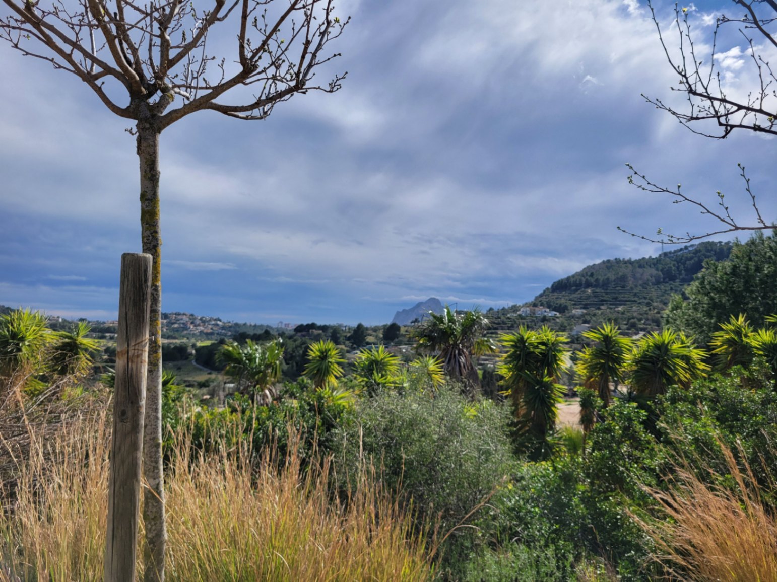 Parcela  rustica en venta de 10,000 m²  - 5