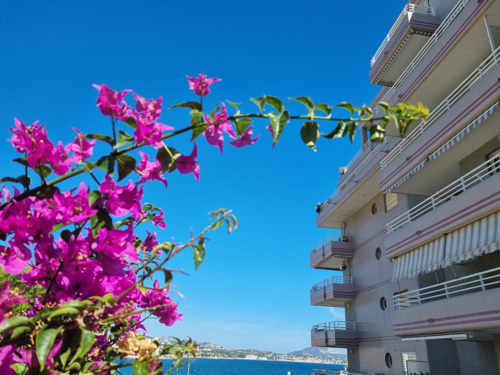 APARTMENT LOCATED 50 METERS FROM THE BEACH WITH A LARGE TERRACE