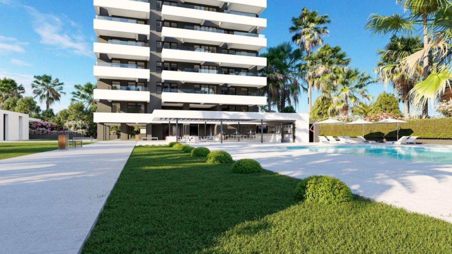 New exclusive project Alexia Calpe.