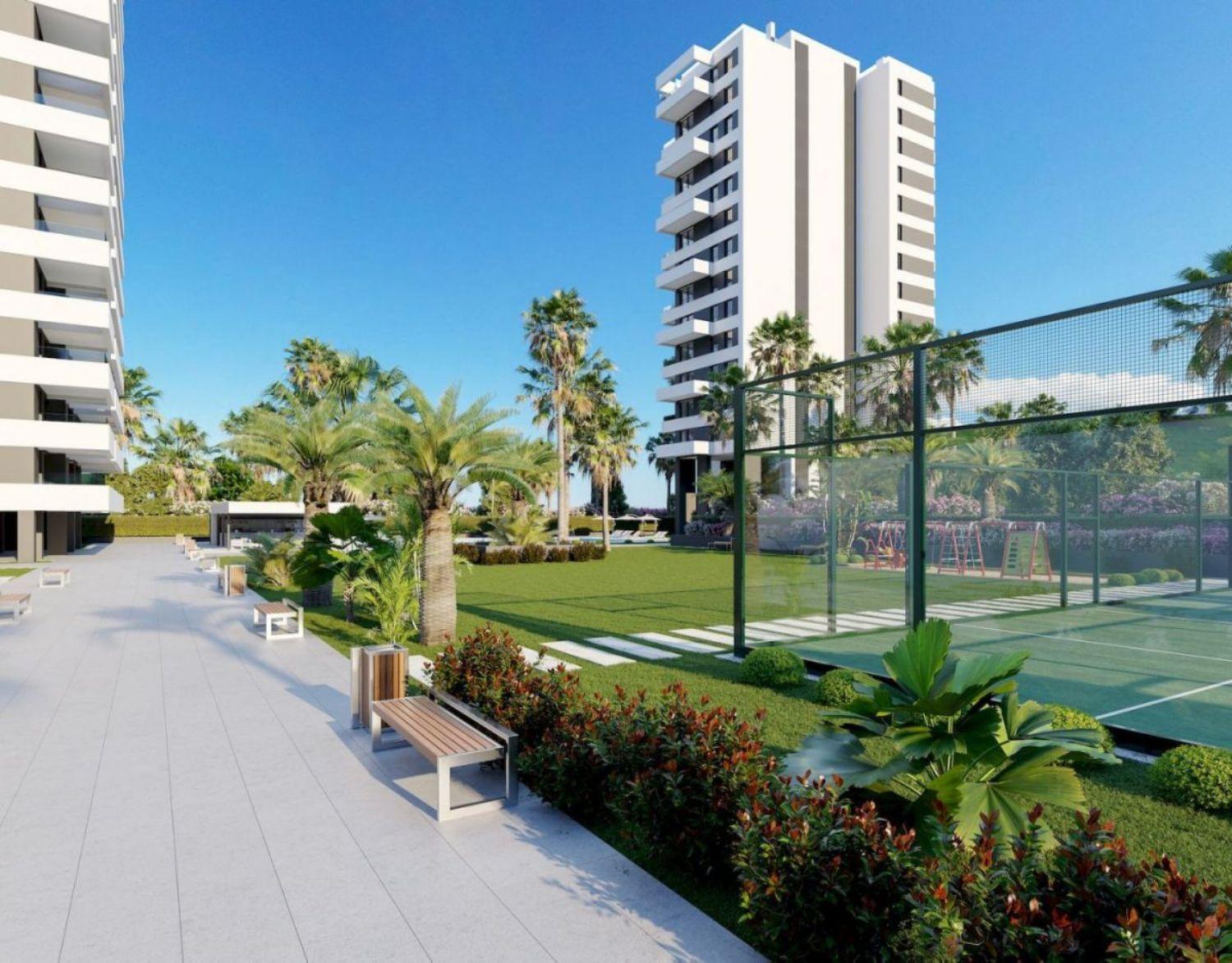 New exclusive project Alexia Calpe.